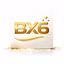 bx6 Solutions