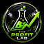 THE PROFITLAB