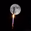 Moon Crypto Discord