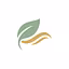VitalWell Collective