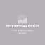 Precision Trading Coach Academ