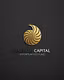 Digital  Asset  Investments