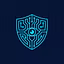Secure Connection Robot