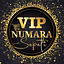 Vip Numara Hizmetleri 
