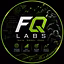 FQ Locks