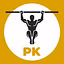 Protocolo KINESIS