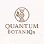 Quantum Accelerator