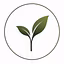 CC Trading Group