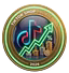 TikTok Shop Profit Hub