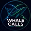 Whale Flow Calls