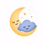 RestoraSleep