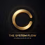 The System Flow