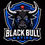 Black Bull Nation