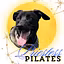Pilates Priestess