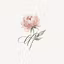 Bloom & Script Studio