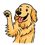 Goofpawz