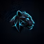 Panther Labs