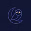 NightOwl Planner