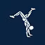Handstand Mastery
