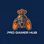 Pro Gamer Hub