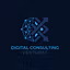Digital Consulting Ventures