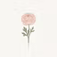 Bloom & Frame Studio