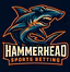 Hammerhead Sports Betting