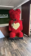 Aurelia Rose Bear