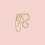 Pointe & Poise Academy