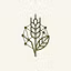 The Modern Agriculture Network