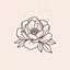 Flowers Set