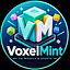 VOXELMINT