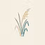 Sea Oat