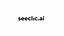Seeclic AI