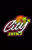 Cityzoticz wealth group