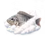 SOKI CLOUD