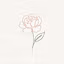 Petal & Co.