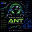 PROJECT ANT2