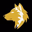 Wolf of Washington IT