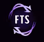 FTS Execution Mentorship