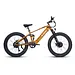 EUNORAU DEFENDER-S 2.0 Hunter X6 Dual-Motor Full Suspension Fat Tire Electric Bike