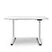 SuperHandy Electric Standing Desk, 48" x 30", Pristine White - GUT151