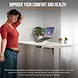 SuperHandy Electric Standing Desk, 48" x 30", Pristine White - GUT151