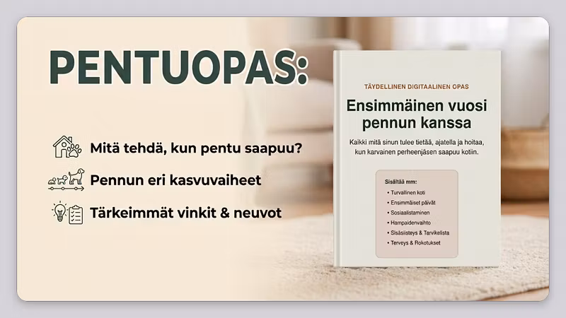 TassuOppi