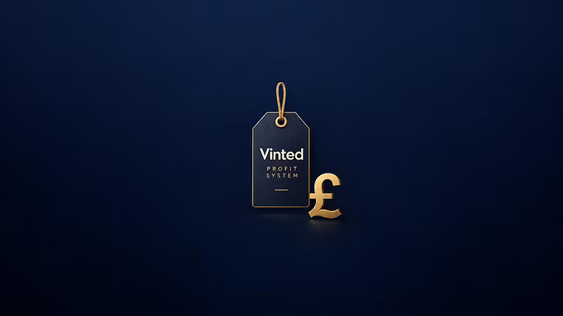 Vinted Profit System