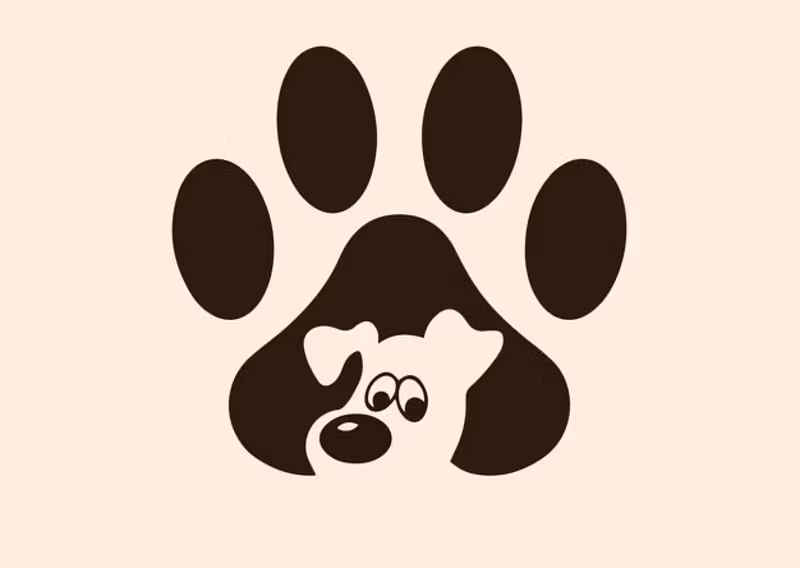 The Puppy Blueprint
