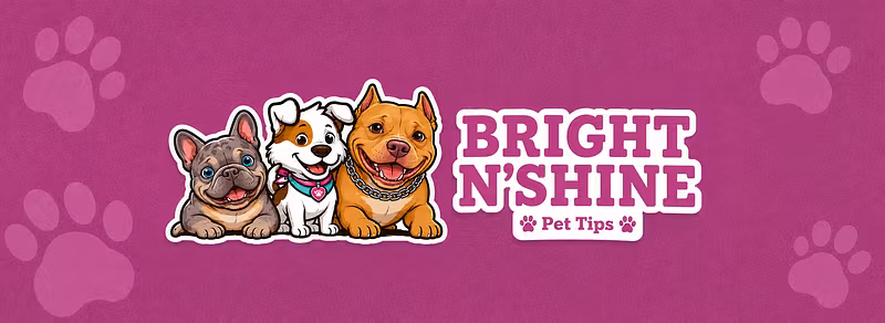 Bright N Shine