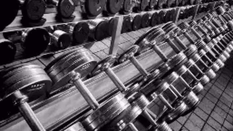 The Gladiator Physique Method