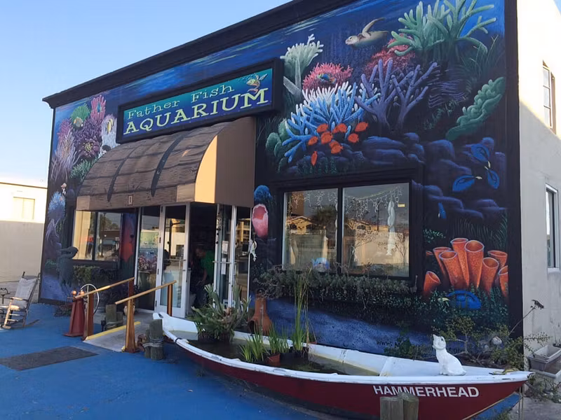 Father Fish Natural Aquariums