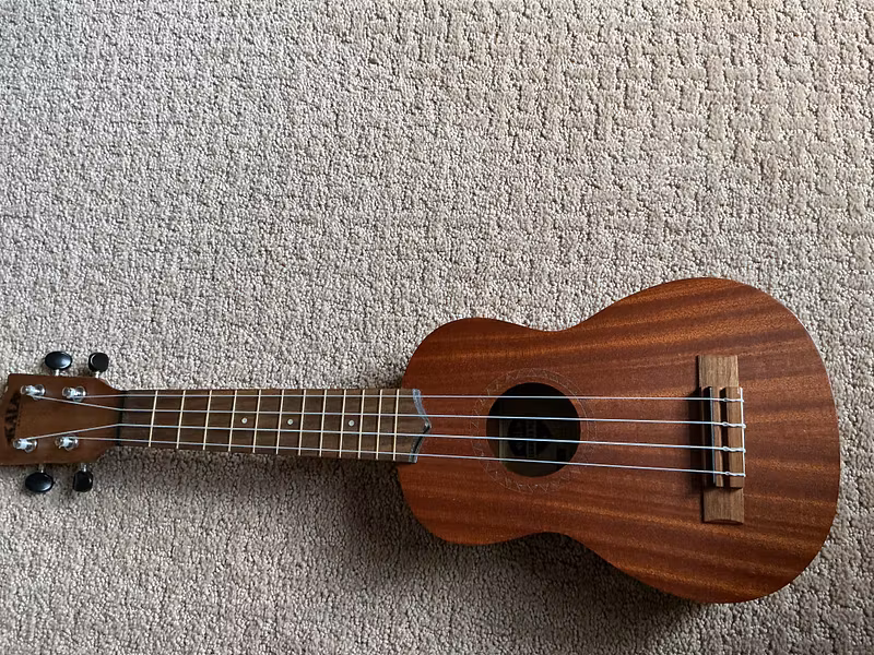 The Ukulele class